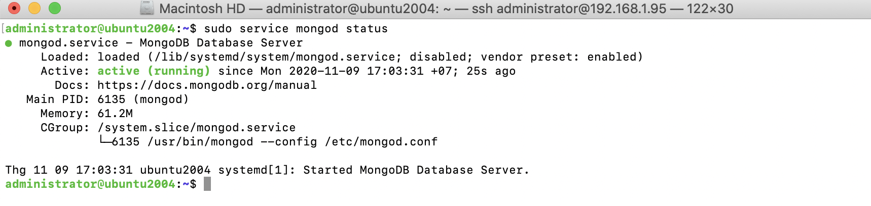 install mongodb on linux server