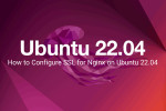 How to Configure SSL for Nginx on Ubuntu 22.04