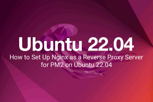 How to Set Up Nginx as a Reverse Proxy Server for PM2 on Ubuntu 22.04