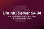How to Manage network interfaces on Ubuntu server 24.04
