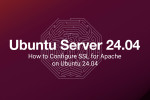 How to Configure SSL for Apache on Ubuntu 24.04
