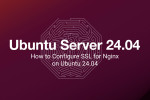 How to Configure SSL for Nginx on Ubuntu 24.04