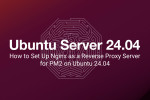 How to Set Up Nginx as a Reverse Proxy Server for PM2 on Ubuntu 24.04