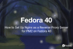 How to Set Up Nginx as a Reverse Proxy Server for PM2 on Fedora 40
