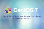How to Set Up Nginx as a Reverse Proxy Server for PM2 on CentOS 7